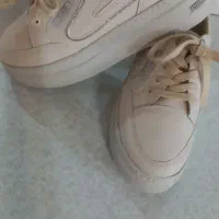 کفش|کیف، کفش، کمربند|اسکو, |دیوار