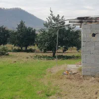 زمین،باغ پرتقال ۱۰۰۰متر روستای بالاجاده|فروش زمین و ملک کلنگی|کردکوی, |دیوار