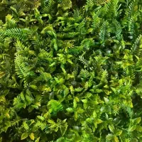 پخش و نصب گرینوال و دیوار سبز|گل مصنوعی|ارومیه, |دیوار