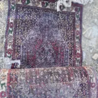 فرش قدیمی دست باف|فرش|سنندج, |دیوار