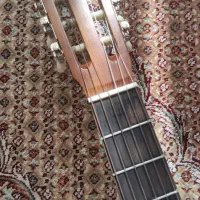 گیتار وفایی Mv3|گیتار، بیس، امپلیفایر|اصفهان, هزارجریب|دیوار