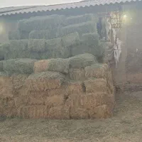 یونجه انباری