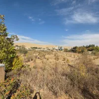 باغ انجیره|فروش دفتر صنعتی، کشاورزی، تجاری|شیراز, انجیره|دیوار