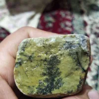 سنگ تک درخت