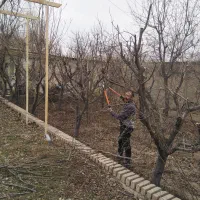 هرس کاری سم پاشی کوددهی شمشادزنی کاشت نهال ...|خدمات باغبانی و درختکاری|کرج, کمالشهر|دیوار