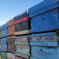 کندوی زنبور عسل