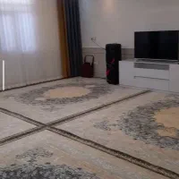 فرش1200شانه|فرش|شاهرود, |دیوار