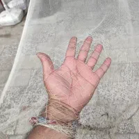 تور یا همان سالی ماهیگیری