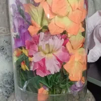 بفروش میرسد