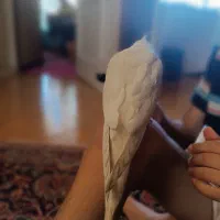 کمکم کنین عروس هلندیم گم شده|پرنده|فردوسیه, |دیوار