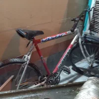 دوچرخه24حرفه ای