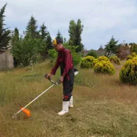 اجرا و نگهداری از فضای سبز|خدمات باغبانی و درختکاری|بابل, |دیوار