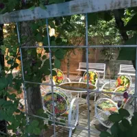 اجاره ویلا استخر ابگرم جکوزی|اجارهٔ کوتاهمدت ویلا و باغ|شیراز, دکتر حسابی|دیوار