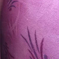 دوتا موکت 9متری