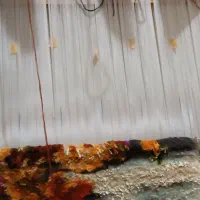 تابلوفرش نیمه کاره|تابلو فرش|رشت, یخسازی|دیوار