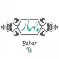 بازاریاب غذای آماده ترجیحا خانم