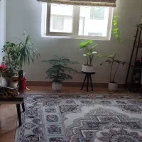 اجاره یک واحد آپارتمان ۵۰متری شهرک ولیعصر شمالی