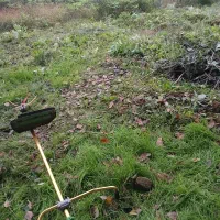 علفتراشی با دستگاه ،هرس، سمپاشی درخت وگل،باغبان،