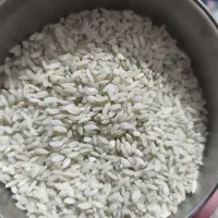 برنج کامفیروز کاشت منطقه ی سیاخ دارنگون|خوردنی و آشامیدنی|شیراز, میانرود|دیوار