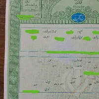 زمین-کشاورزی