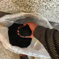 فروش بذر دستگیری مینروا از قوطی ارژانتین باکیفیت|خدمات باغبانی و درختکاری|جیرفت, |دیوار