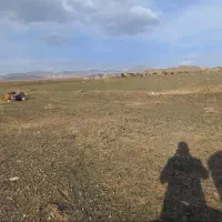 فروش-زمین-باغی