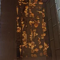 جلو مبلی|مبلمان خانگی و میز عسلی|الیگودرز, |دیوار