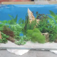 لوازم خانگی به فروش می رسد|سایر لوازم برقی|زابل, |دیوار