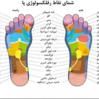 روغن درمانی