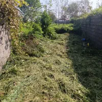چمن زنی،علف زنی،متخصص درگمار،تمشک زنی