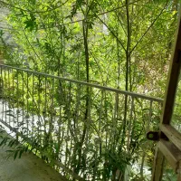 سویت در روستای گردشگری ونایی|اجارهٔ کوتاه‌مدت آپارتمان و سوئیت|بروجرد, |دیوار