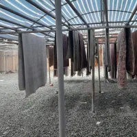 پاسدارگمنام محلاتی کیانی قالیشویی بلوارابوذر میثم