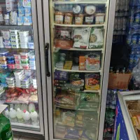 یخچالایستادهسوپرمارکت|فروشگاه و مغازه|تهران, شهرک طالقانی|دیوار