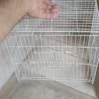 قفس پرنده کوچک