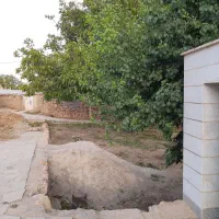 باغچه