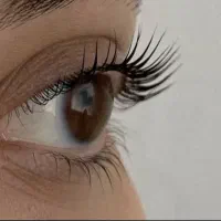 ۲۰درصدتحفیف لیفت ابرو و مژه با بوتاکس تراپی رایگان|خدمات آرایشگری و زیبایی|یزد, |دیوار