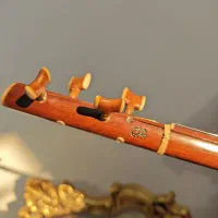 سه تار حرفه ای|سازهای سنتی|تهران, سازمان آب|دیوار