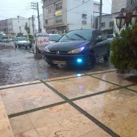 پژو ۲۰۶ تیپ ۲