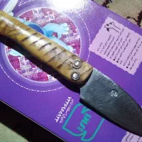 پوست کن قدیمی دسته شاخ دست ساز