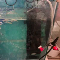 پمپ آکواریوم و فیلتر آکواریوم|ماهی|شیراز, کوشک میدان|دیوار