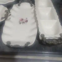 ظروف پزیرایی