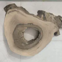 چوب گردو
