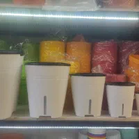 گلدان پلاستیکی هیدروپونیک سایز مختلف تک و عمده