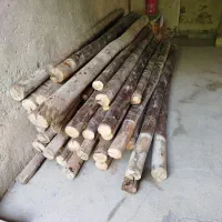 خریدار چوب خشک سقفی|خدمات باغبانی و درختکاری|کیار, |دیوار