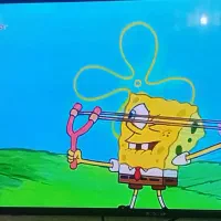 تلویزیون ۴۳اینچ سونیا|تلویزیون و پروژکتور|ملکان, |دیوار