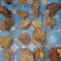 اشیاعتیقه وکلکسیونی|کلکسیون اشیاء عتیقه|قم, نخودی|دیوار