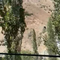 آپارتمان ۲۳۰متری فول امکانات دراوشان/ املاک سامان|فروش آپارتمان|فشم, |دیوار