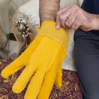 دستکش کار نمدی ضد برش و حرارت پاکستانی