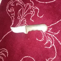 ممد طلا|کوهنوردی و کمپینگ|کبودرآهنگ, |دیوار