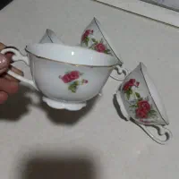 چینی و فنجان گلسرخ|کلکسیون اشیاء عتیقه|مشهد, آزادشهر|دیوار